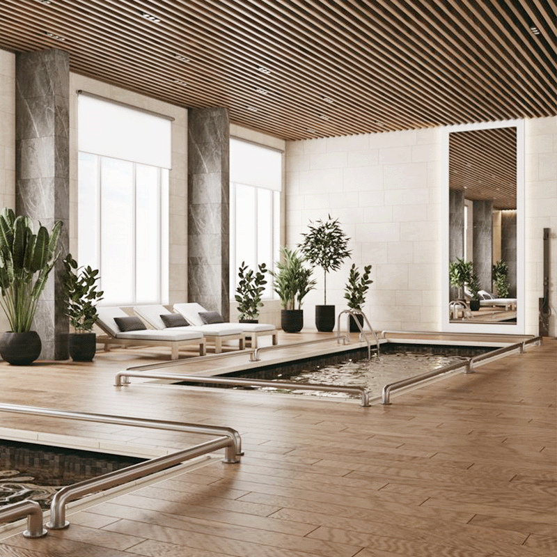 European & American Anti-Aging Spa